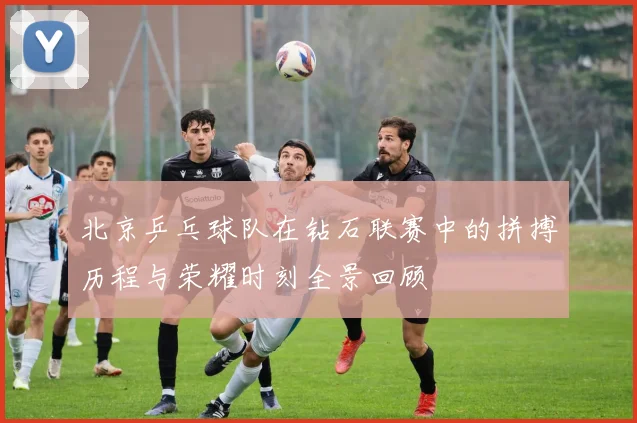 北京乒乓球队在钻石联赛中的拼搏历程与荣耀时刻全景回顾