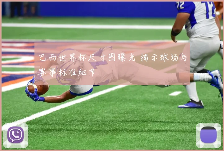 巴西世界杯尺寸图曝光 揭示球场与赛事标准细节